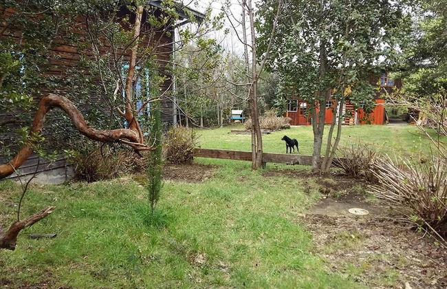 Cabaña Pudomo en Coñaripe con Hot-tub Exclusivo - Foto 21