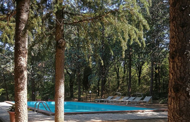 Agriturismo Il Pornelleto - Villa Alari - Foto 66