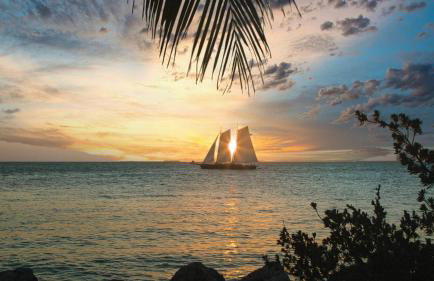 Parrot Perch by Avantstay Old Town Key West w/ Shared Pool Month-long Stays Only - Foto 68