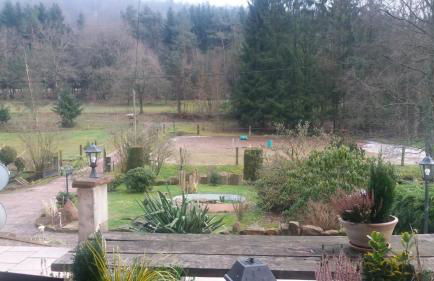 Gîte de la vallée, En Pleine Forêt - Foto 11