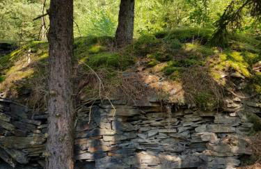 Boxis Ferienhaus - Foto 24