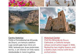 Casa do Galo / Galo House - Foto 28