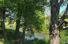 Auszeit am Ipf - Foto 29