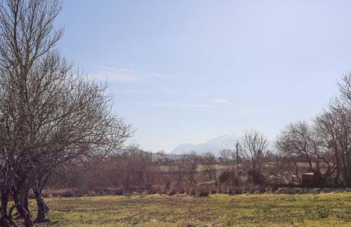 Cwt Mochyn - Foto 23