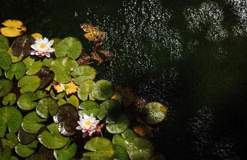 Quinta da Ponte by Gerês Casas - Foto 54