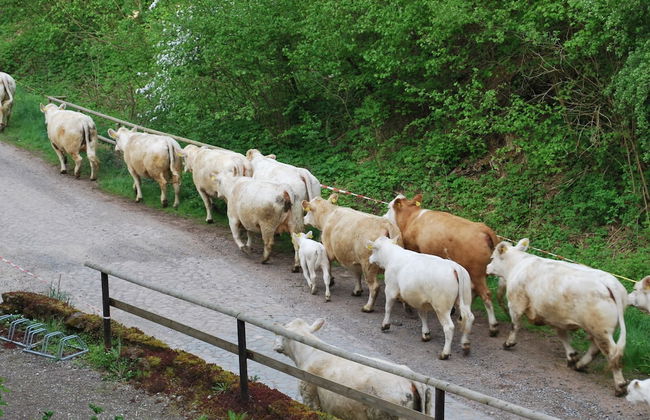 Watermill Stay With Garden - Foto 35