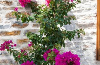 Villas by Pelion Esties in Ano Gatzea - Foto 54