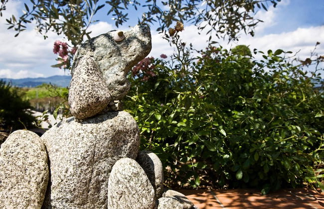 Casale dell'orso - Photo 34