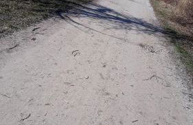 Ferienwohnung Kanalblick - Foto 11