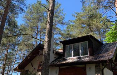 Domek wypoczynkowy w lesie nad jeziorem - Foto 1