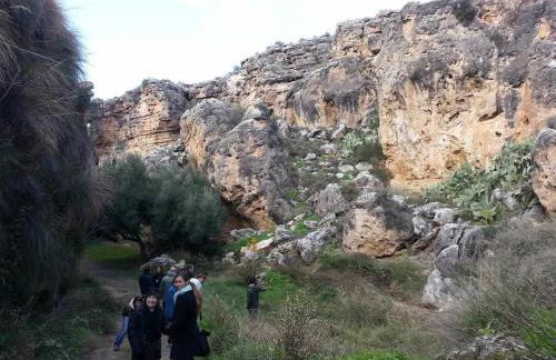 Hábitat Troglodita Almagruz - Foto 95
