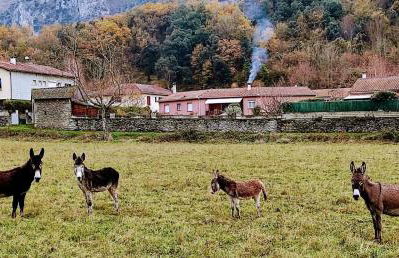 Le Nopal Bleu - Foto 44