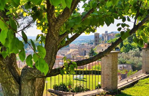 Agriturismo Le Vigne - Foto 69