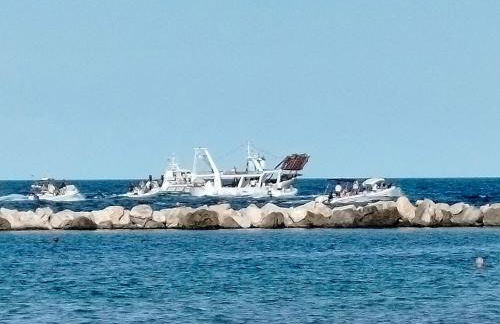 La Magnolia a 500mt dal mare - Foto 55