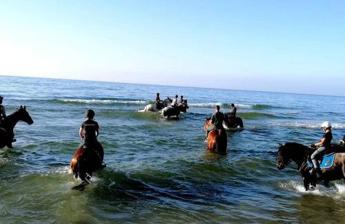 Babie Lato - Foto 45