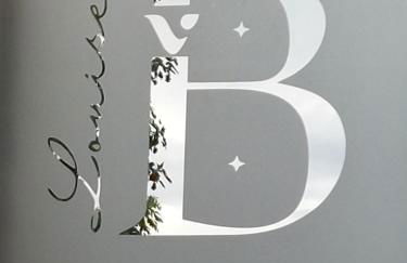 VILLA LOUISE B, B comme Belle Epoque - Foto 7