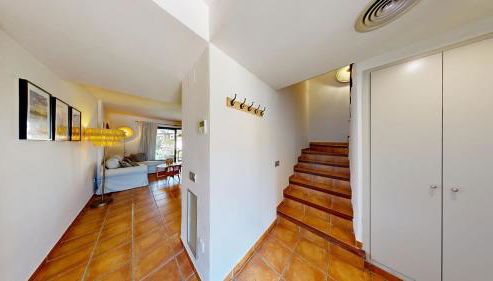 Lamb's Ears - Foto 2