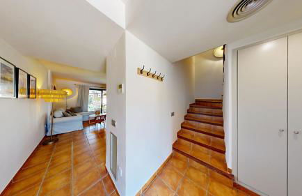 Lamb's Ears - Foto 2