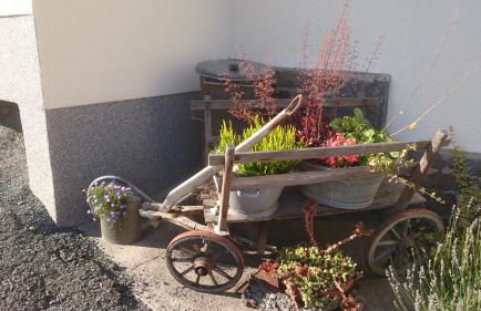 Ferienwohnung Elisabeth - Photo 21