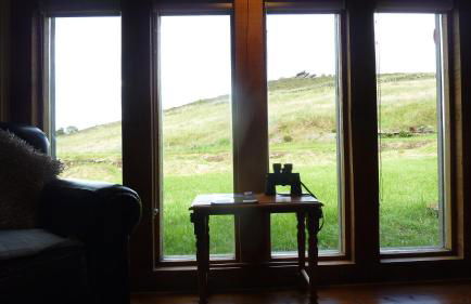 Hazel Barrow Farm Cottage - Photo 9