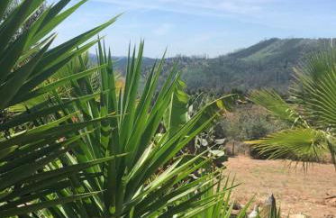 Ola Bella Vista - Foto 12