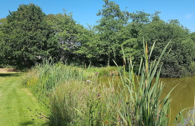 Thornbury Holiday Park - Foto 52