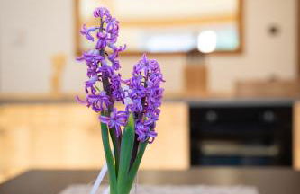 Appartments zum Beck - Foto 38