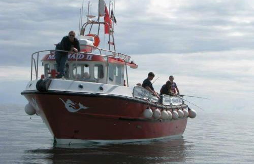 Beautiful Cornish barn in the stunning Lamorna valley with large garden - Photo 31
