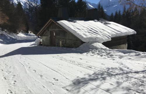 Fizhome Mt Blanc - Photo 17