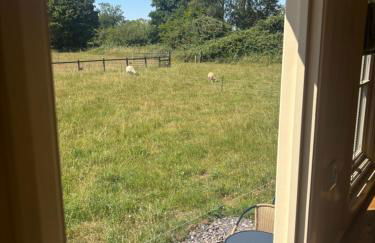 Cosy Shepherd Hut - Foto 14