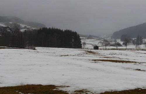 Apartment mit privatem Balkon by Interhome - Photo 30