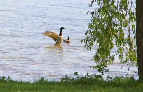Junior-Suite Relaxe am See - Foto 24