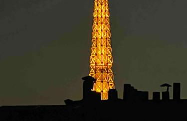 Beautiful apartment terrace Invalides and fireplace - Foto 13