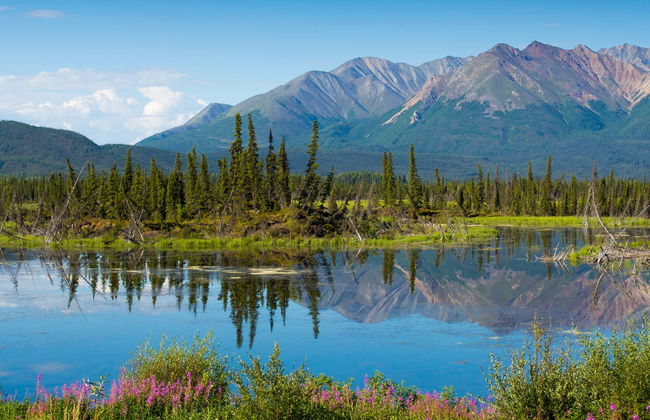 Escursione a Salcha, Delta Junction e Summit Lake - Foto 7