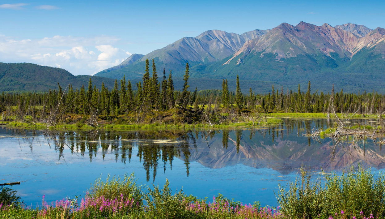 Excursión a Salcha, Delta Junction y Summit Lake - Foto 1, Excursión a Salcha, Delta Junction y Summit Lake