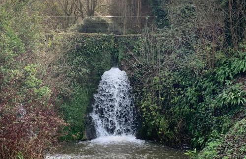 Little Norton Mill - Photo 51