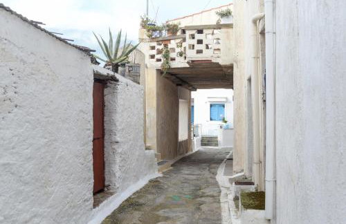 Petit Sunset - Photo 38