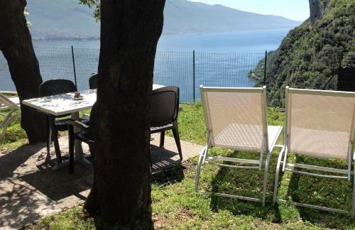 Casa Bine - Photo 24