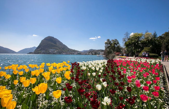Laguna di Lugano - Foto 20