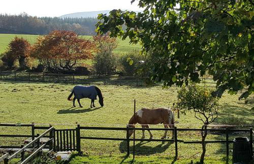 Stuc an t Sagairt Cottage , Loch Lomond - Foto 15