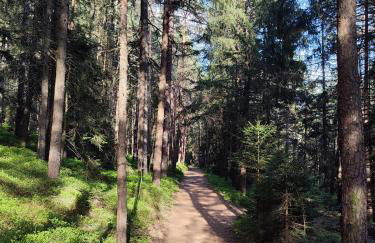 Haus Wander-Lust - Foto 61