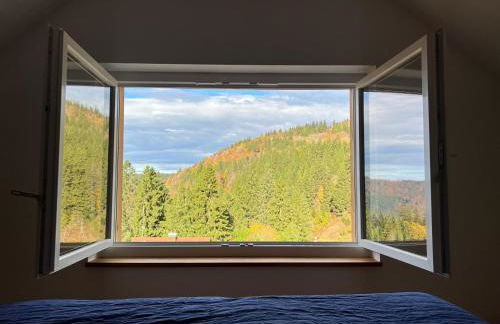 Haus Wiesenquelle, Deluxe-Apartment 'Feld & Berg' - Foto 12