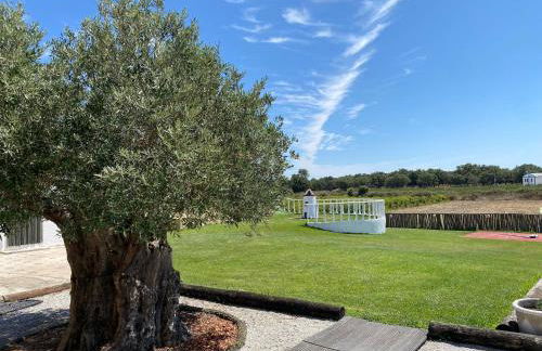 Adega Monte Maneta - Foto 25