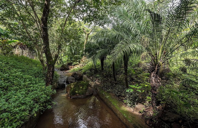 CosmicStays Windchime Homestay at Mulshi - Foto 73
