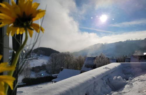 Panoramablick Ferienwohnung Luge Winterberg Sauerland - Foto 25