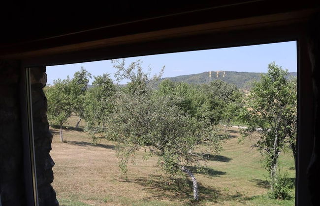 Charming 2bed Cottage in Carasova, Banat Mountains - Foto 25