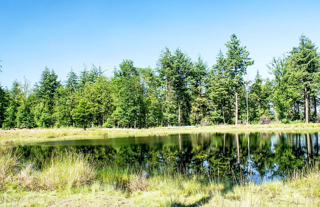 5 bedroom House in Diever with garden and terrace - Photo 26