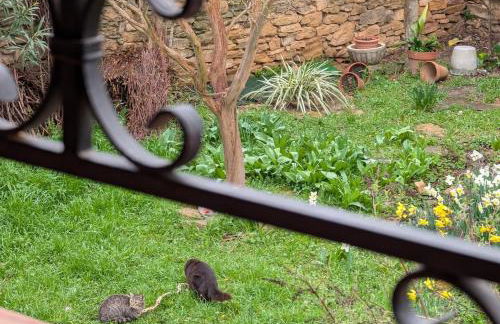 Rustic charm in Àger, a natural paradise - Foto 14