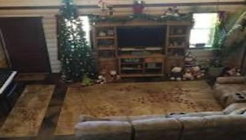 Farm House Cabin, Patio, TV Room, Games, BBQ, Campfire - Foto 5