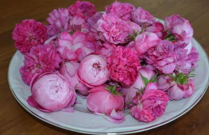 Casale Dionisia, Santa Maria di Castellabate - Foto 66